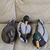 Подсадная утка кряква Flambeau Gunning Mallard комплект 6шт: отзывы