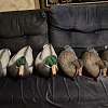 Подсадная утка и селезень Taigan Floating Mallard Drake&Hen комплект 6шт: отзывы