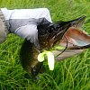 Приманка Select Shad up 3,5