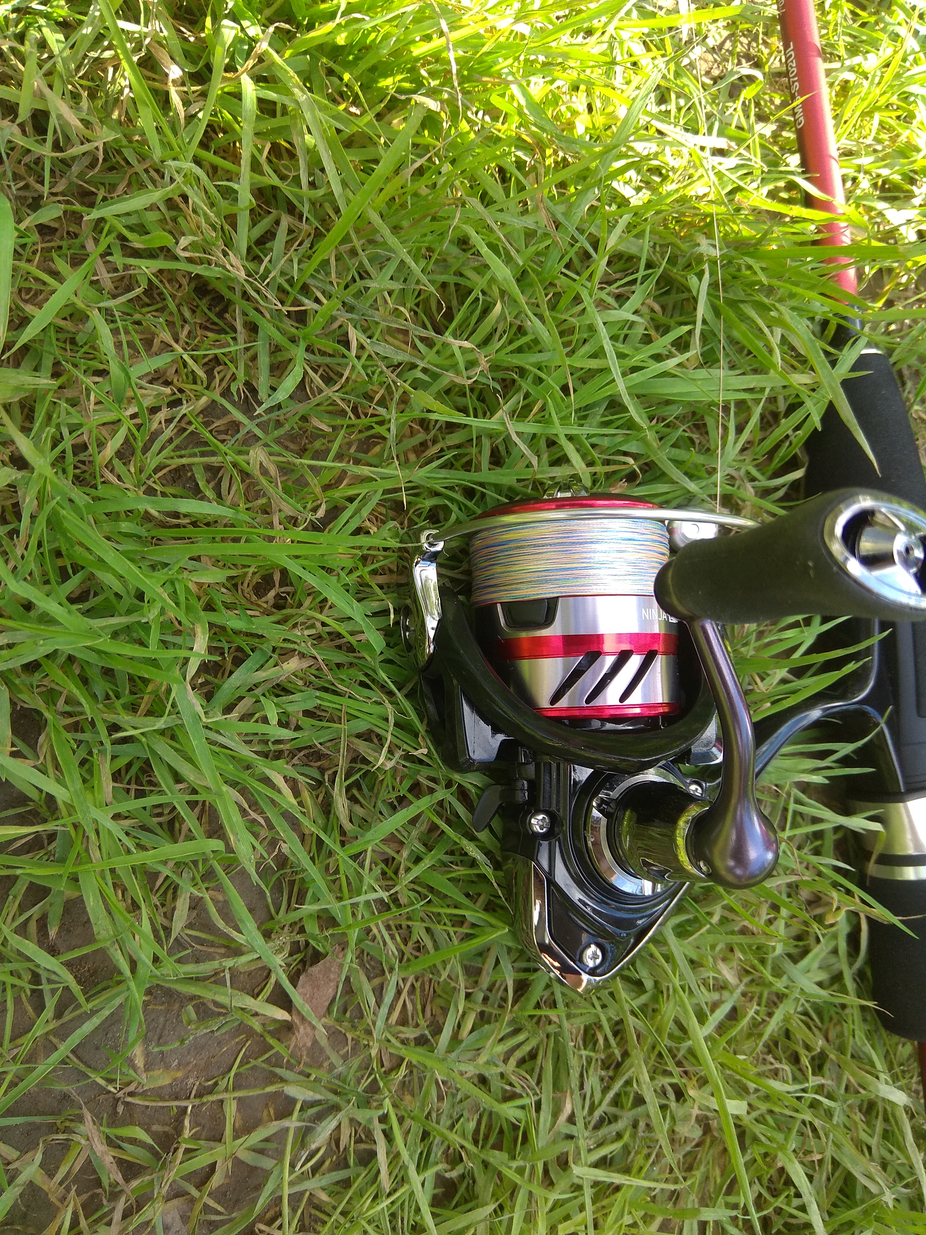 Катушка Daiwa 18 Ninja LT 2000: отзывы