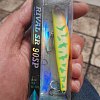 Воблер TsuYoki Rival SP 90SP цв.K058: отзывы