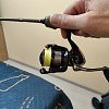 Катушка Daiwa 20 RX LT 2000: отзывы