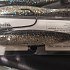 Приманка Keitech виброхвост Easy shiner 4,5" 418 bluegill flash: отзывы