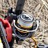 Катушка Daiwa Iprimi LT 2000S-P: отзывы