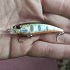 Воблер DUO Realis Shad 59SR 59мм 4,7гр цв.N568: отзывы