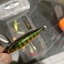 Воблер Daiwa Prorex Pencil BT65F gold perch: отзывы
