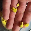 Бойлы Rhino Baits balanced wafters Pineapple ананас+N-Butyric 8мм 60гр банка: отзывы