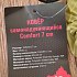 Коврик Tramp Comfort 7см самонадувающийся: отзывы