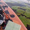 Жмых кукуруза и конопля: отзывы