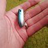 Воблер Lucky Craft Malas Mini 0076 Metalic Mint: отзывы