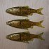 Приманка Savage Gear LB roach swim&jerk 10см bulk muddy roach 1/48: отзывы