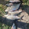 Кресло Riverzone рыболовное YURS-1013D: отзывы