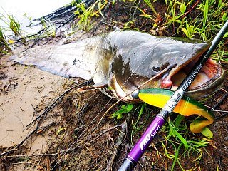 Спиннинг Волжанка Pro Sport Monster 20-60гр 2,7м  - фото 4