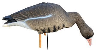 Подсадной гусь Oscar Decoys Elite 3D Speckbelly Goose Белолобый мягкий 10шт - фото 2