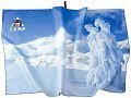 Полотенце Camp Printed dry towel snow