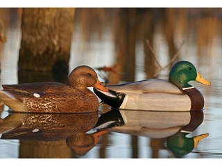 Подсадная утка кряква Flambeau Classic Mallard комплект 12шт - фото 7
