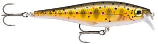 Воблер Rapala BX Minnow BXM10 TR