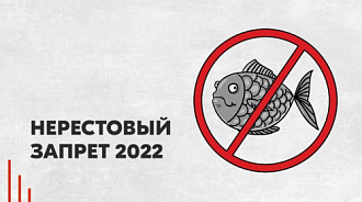 Нерестовый запрет в Томской области в 2024 году