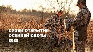Осенняя охота 2025 по регионам: сроки, дата открытия