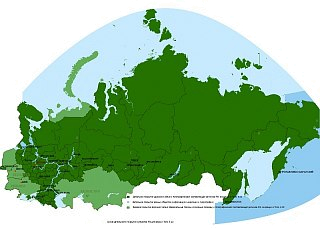 Карта Garmin дороги России РФ. топо 6 microSD - фото 1