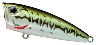 Воблер Daiwa Steez popper 70F bass