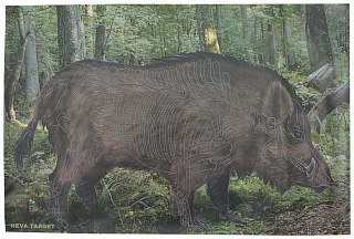 Мишень Кабан 1000х700мм цветная - фото 1