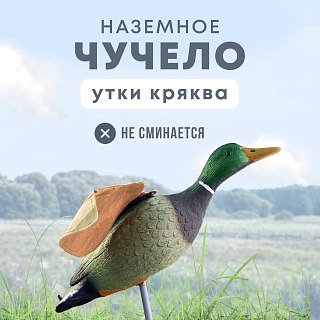 Подсадная утка Taigan Mallard летящая на пластиковом основании селезень - фото 1