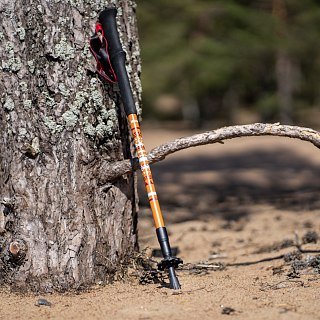 Палки Talberg RANGER POLE треккинговые коричневый - фото 2