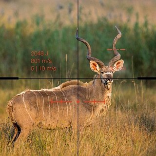 Прицел Swarovski dS 5-25x52 SR Gen II 4A-I - фото 6