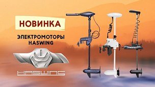 Электромоторы Haswing: большая поставка