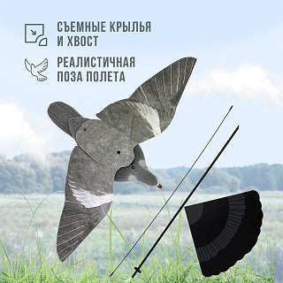 Подсадной голубь Taigan Proflapper летящий на стойке - фото 6