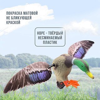 Механическое чучело Taigan Mid size Mallard Drake селезень  - фото 7