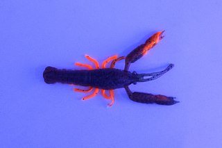 Приманка Savage Gear 3D Crayfish rattling 5,5см 1,6гр brown orange 8шт - фото 2