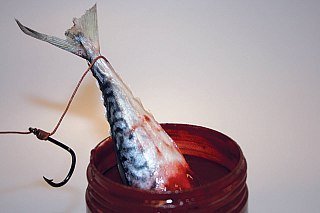 Дип Dynamite Baits Squid liver catfish dip - фото 2