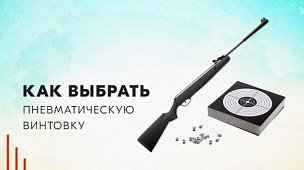 Как выбрать пневматическую винтовку? Типы, особенности, характеристики и законы