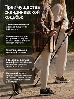 Палки Roadlike Protect для скандинавской ходьбы с антишоком Flip-Lock белый - фото 11
