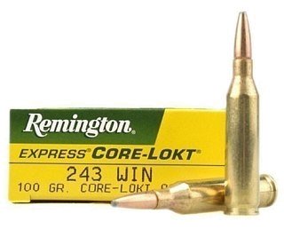 Патрон 243Win Remington 6,5 Core-Lokt PSP - фото 2