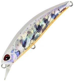Воблер DUO Spearhead Ryuki 80S AJO4064 Ivory Yamame OB