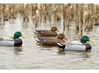 Подсадная утка кряква Flambeau Classic Mallard комплект 12шт - фото 6