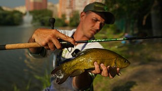 Удилище Zemex HI-PRO Super Feeder 11ft 60гр - фото 8