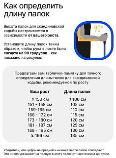 МП Палки для треккинга RoadLike Base - фото 6