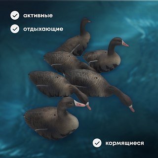 Подсадной гусь Taigan Spec Goose EVA комплект 6шт - фото 3