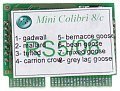 Чип TecnoEST Mini Colibri 8/c RS5/06