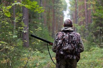 Открытие осенней охоты: список полезных статей