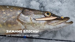 Зимние блесны для отвесной ловли хищника