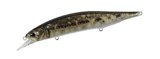 Воблер DUO Realis Jerkbait 120SP CCCZ103