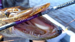 Спиннинг Волжанка Pro Sport Monster 20-60гр 2,7м  - фото 3