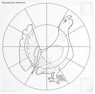 Мишень для пристрелки дробовых ружей 16-дольная 1/100 - фото 1