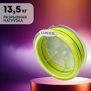 Шнур Riverzone Sakai X8 PE 2,5 150м Green - фото 3