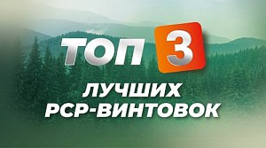 Лучшие PCP-винтовки для новичков Лучшие PCP-винтовки для новичков